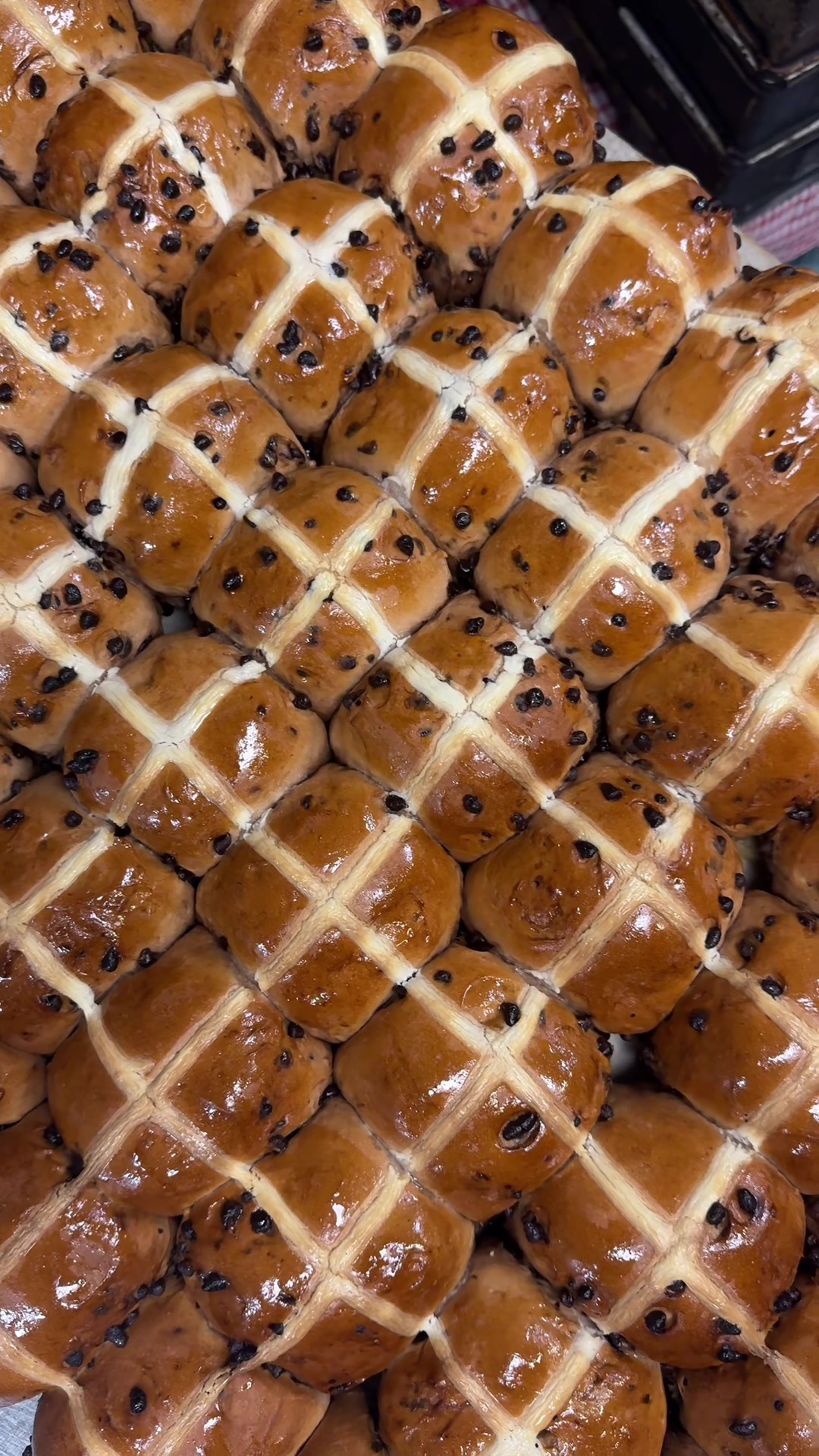 Lifestyle · Video 02